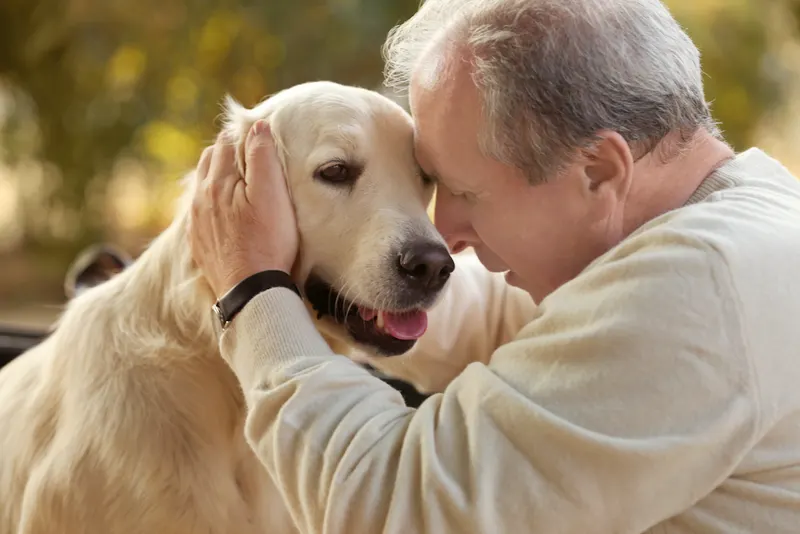 Older man resting his forehead affectionately against a golden retriever outdoors